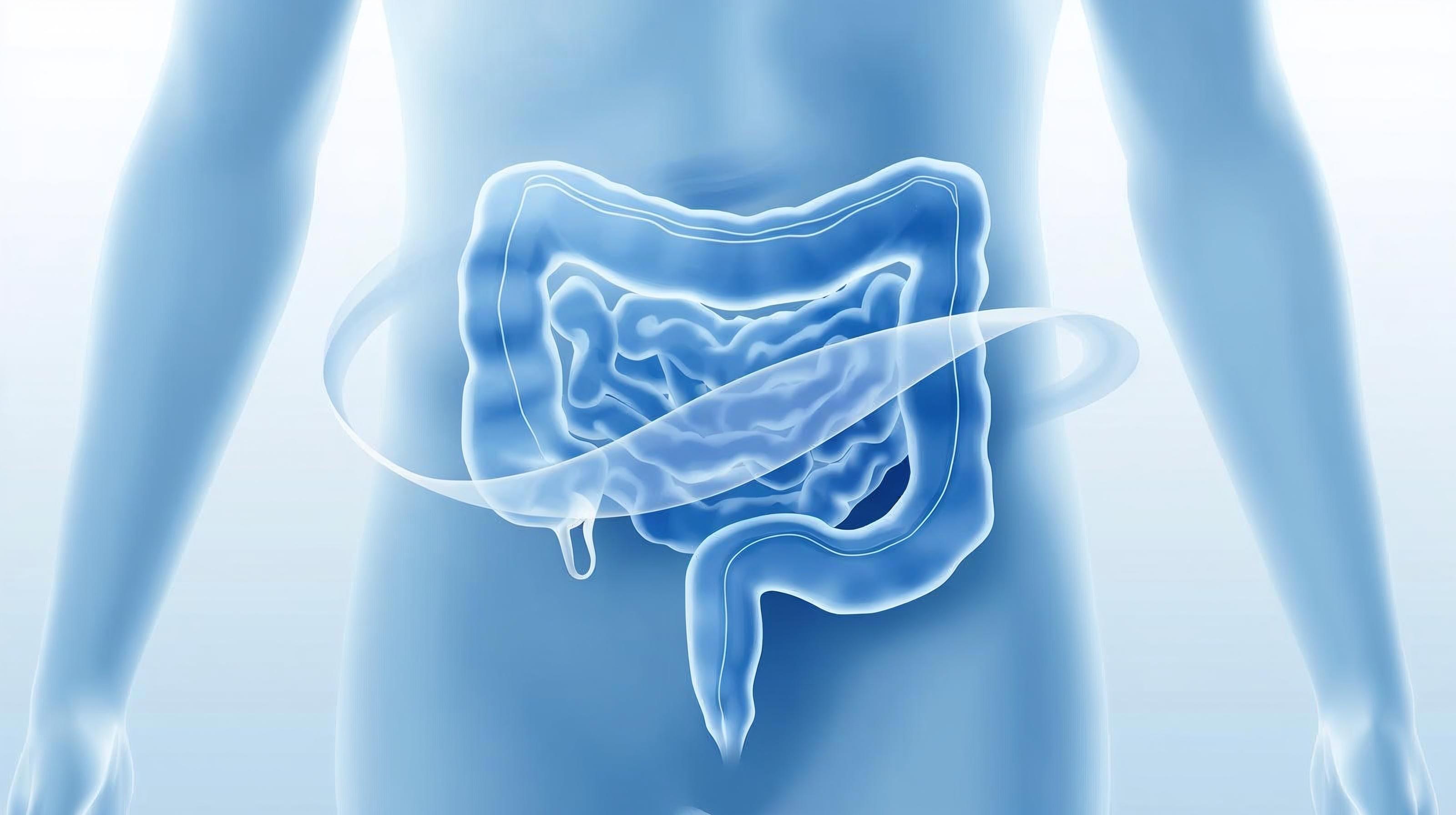 Abstract illustration of a strong, healthy colon with smooth curves and soft blue tones, modern and visually appealing