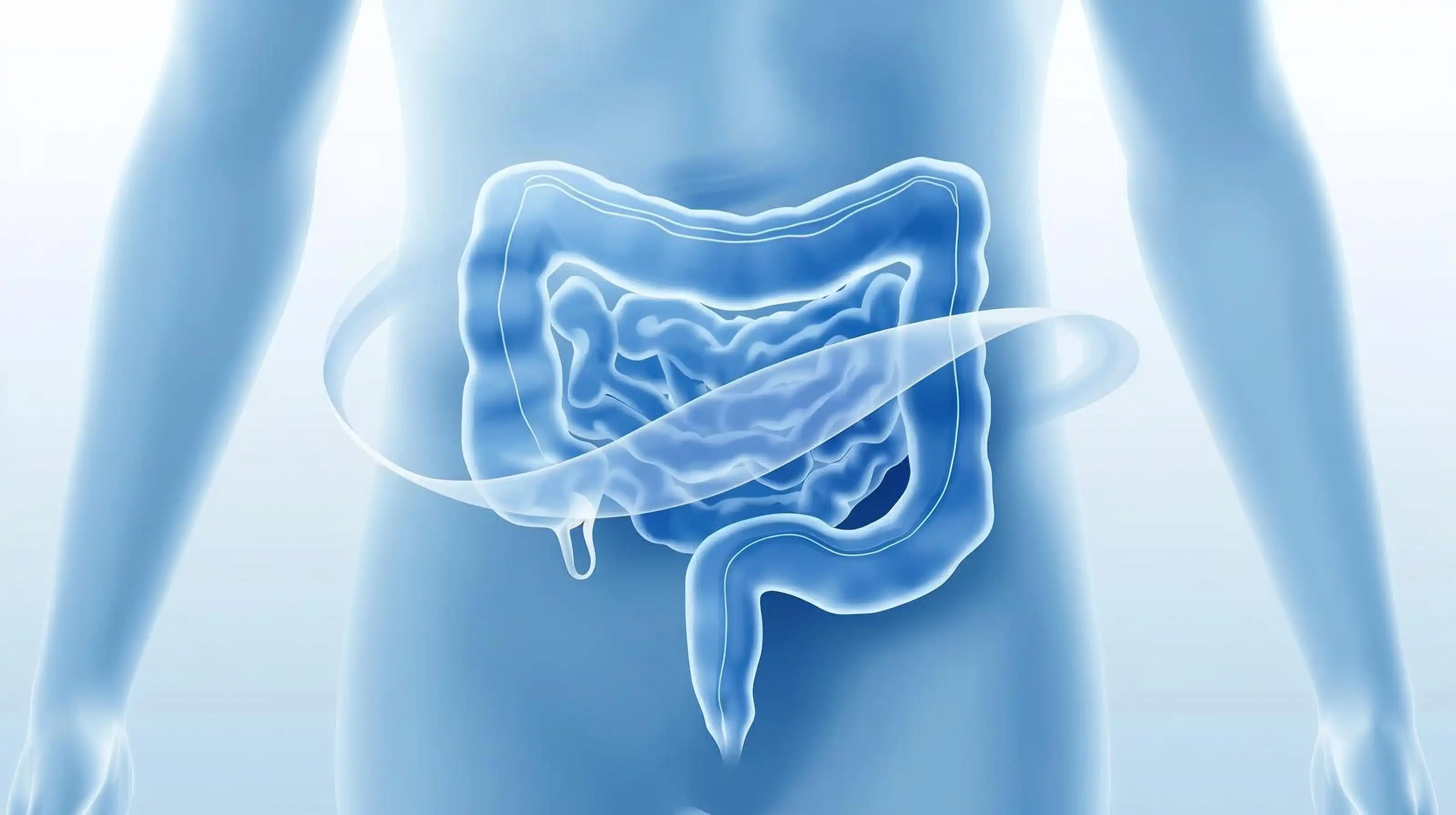 Abstract illustration of strong healthy colon in soft blue tones