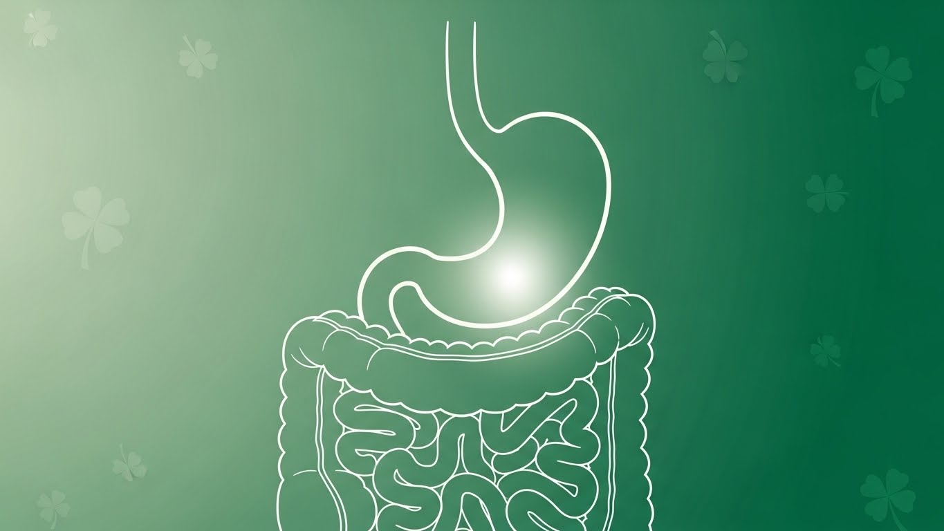 When Digestive Symptoms Need Medical Attention