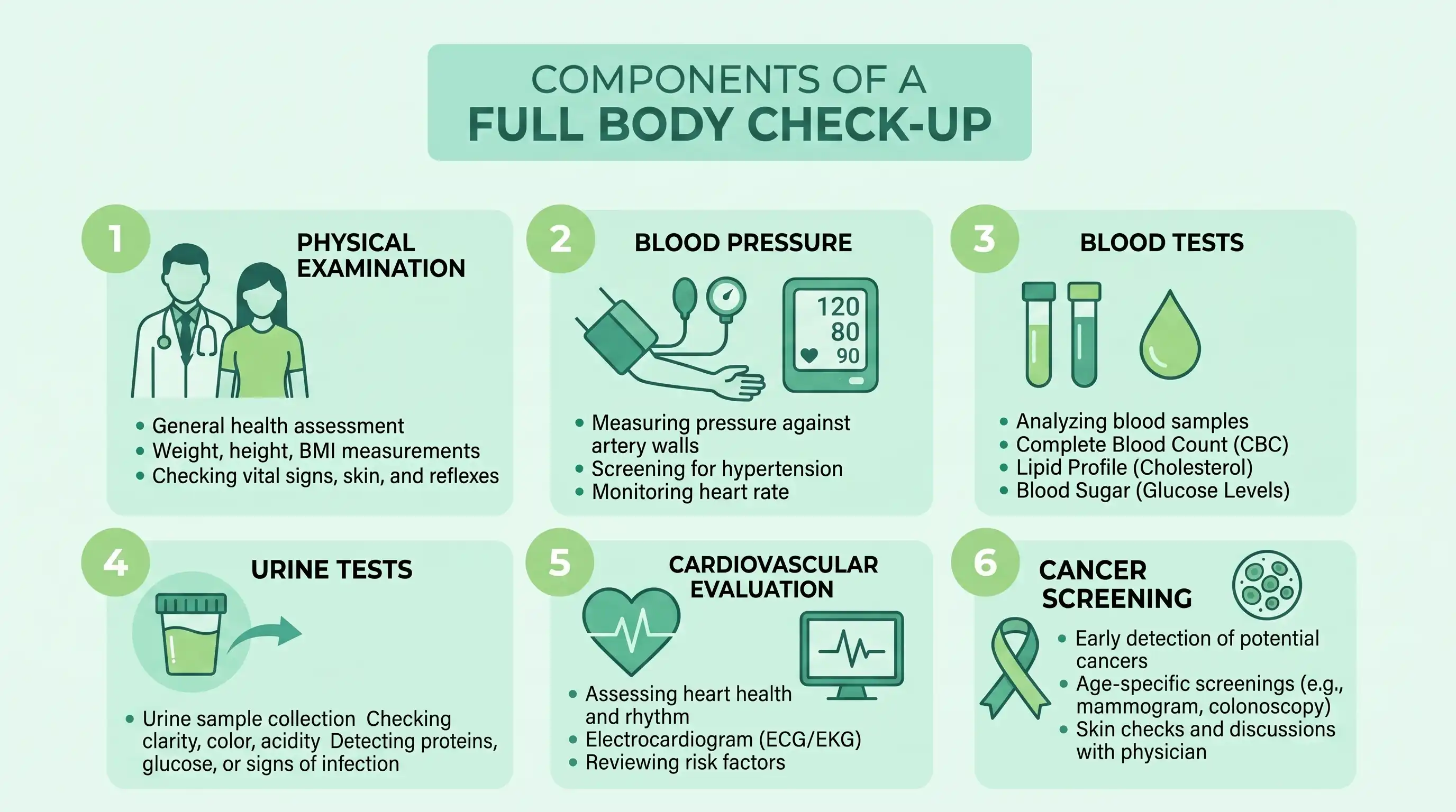 Infographic showing the six components of a full body check-up: physical examination, blood pressure, blood tests, urine tests, cardiovascular evaluation and cancer screening, in a green color palette